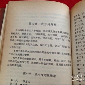 《武当纯阳拳炼养全书》