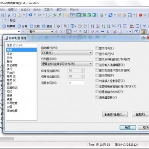 最佳Windows文本编辑器，超大文本编辑器EmuraSoft EmEditor Pro v21.3.0