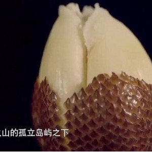 精彩纪录片《水果传》第一季：记录传统水果种植的历史、文化与社会意义，豆瓣8.7分！